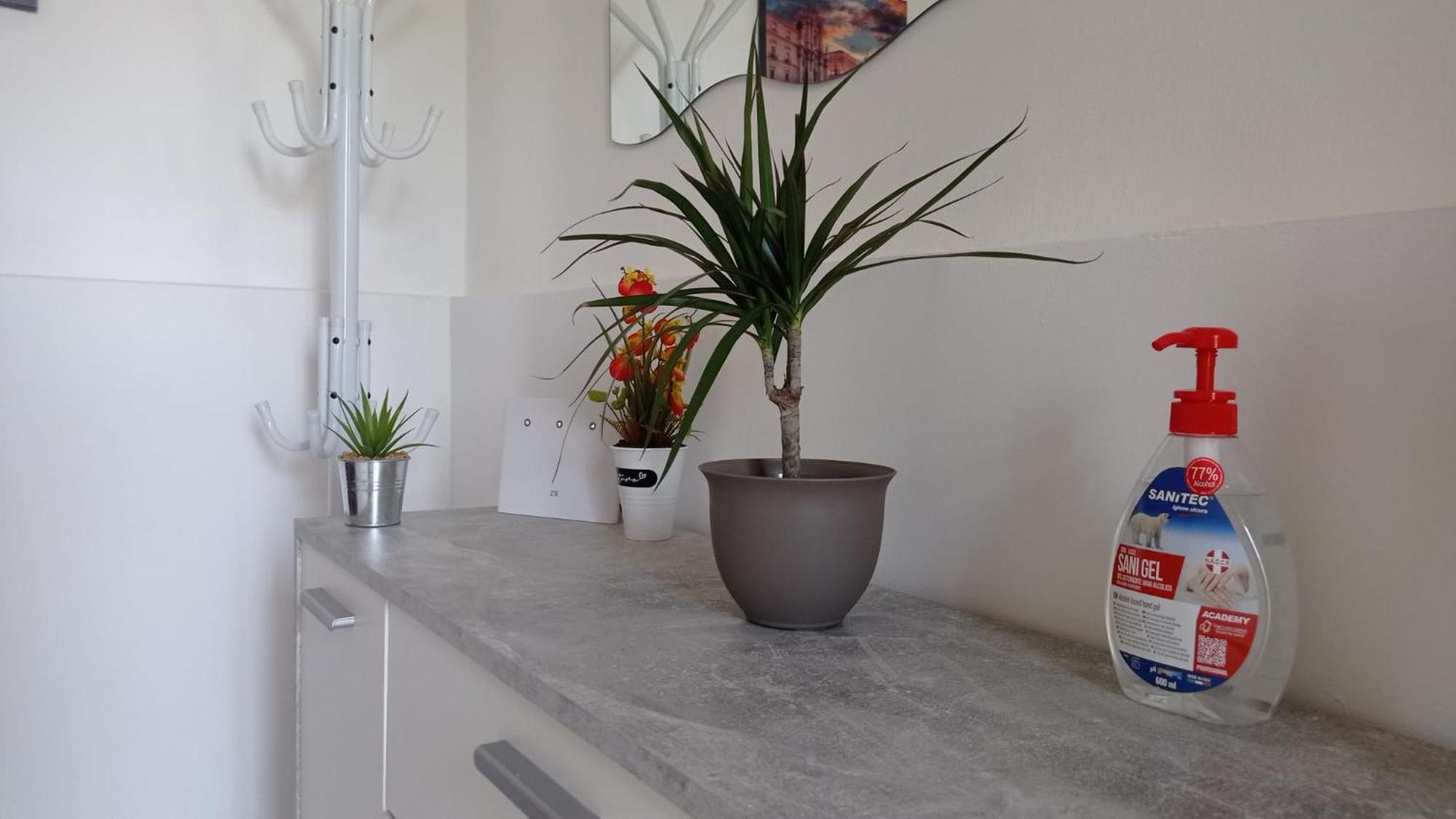 דירות בלבדרה Casa Dalila מראה חיצוני תמונה